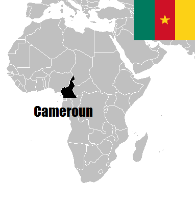 pièces de monnaie du Cameroun de collection