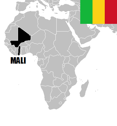 Pièces de monnaie du mali de collection