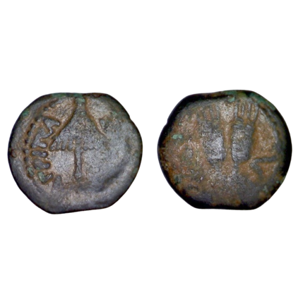 judée, Royaume d'Hérode Agrippa 1er Prutah (41 à 42) Jerusalem