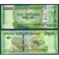 Guyana P.40a, TTB Billet de 5000 Dollars 2011 rivière