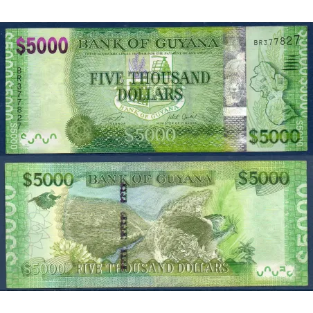Guyana P.40a, TTB Billet de 5000 Dollars 2011 rivière