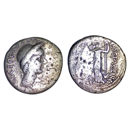 Denier de Jules césar (-44)  sear 1413 Publius Seppulius Macer