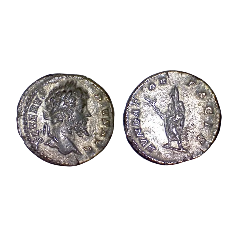 Denier de Séptime Sévère (201) RIC 265 FVNDATOR PACIS atelier Rome