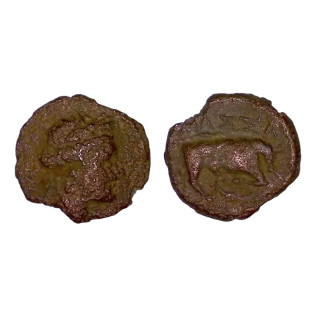 Massalia, Marseille Petit bronze au taureau (-121 à -49) monnaie
