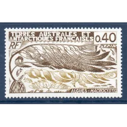 Timbre TAAF Yvert No 68 Macrocystis neuf ** 1977