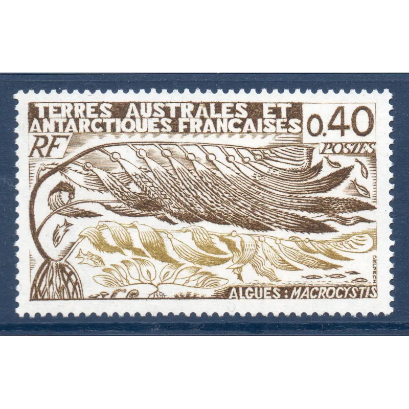 Timbre TAAF Yvert No 68 Macrocystis neuf ** 1977