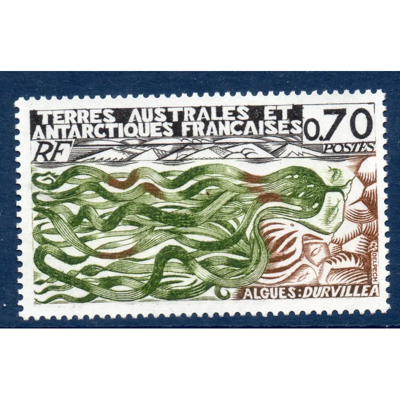 Timbre TAAF Yvert No 69 Durvillea neuf ** 1977