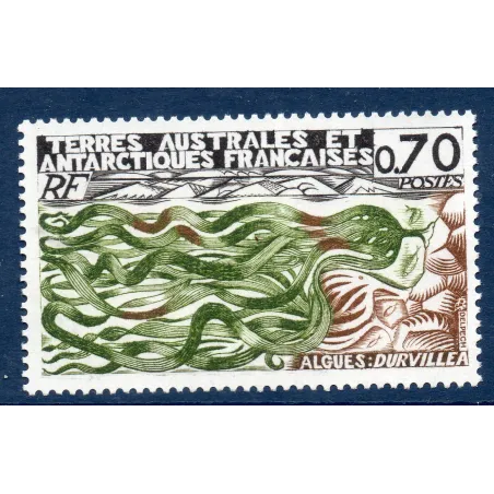 Timbre TAAF Yvert No 69 Durvillea neuf ** 1977