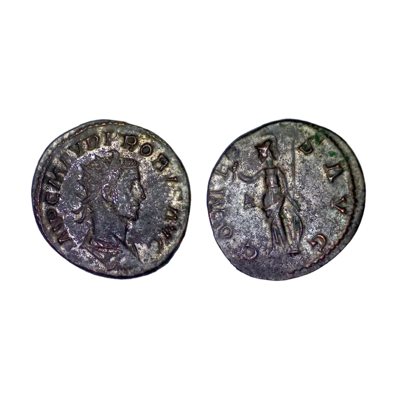 Antoninien de Probus (282), Ric.116 COMES AVG atelier Lyon