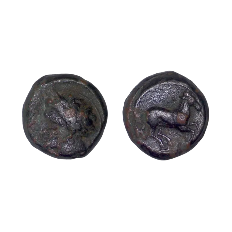 Sicile, Punic ou afrique Nord incertain Ae16 Cuivre (-375 à -350) Triptolemos Sicile, Punic ou afrique Nord incertain Ae16 Cuivre (-375 à -350) Triptolemos