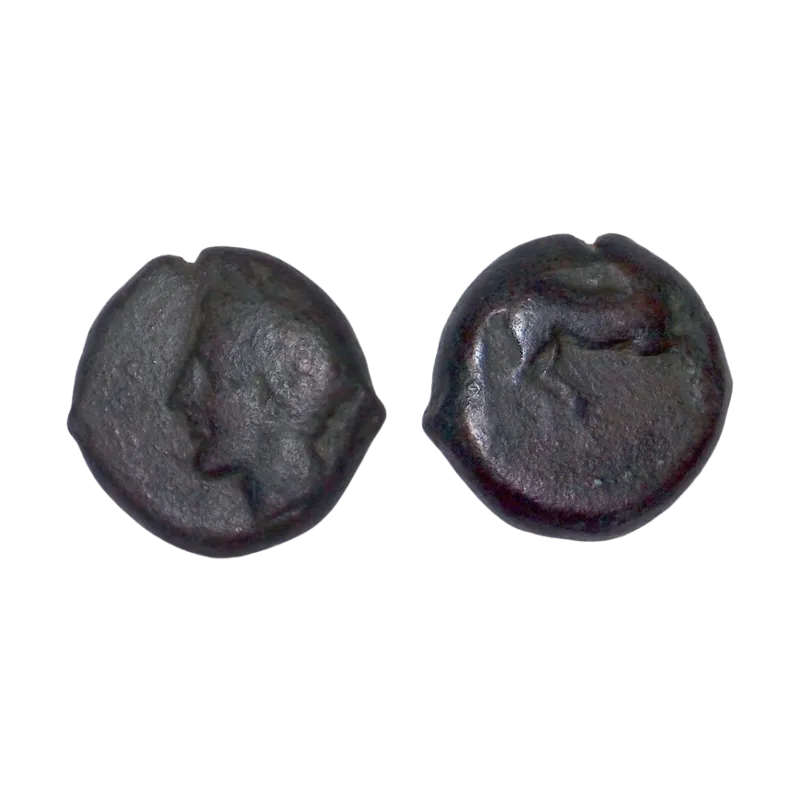 Sicile, Punic ou afrique Nord incertain Ae16 Cuivre (-375 à -350) Triptolemos
