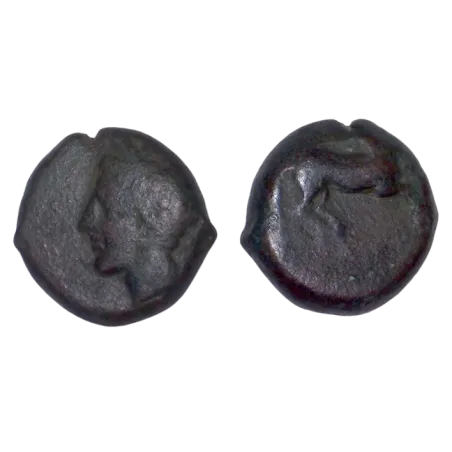 Sicile, Punic ou afrique Nord incertain Ae16 Cuivre (-375 à -350) Triptolemos