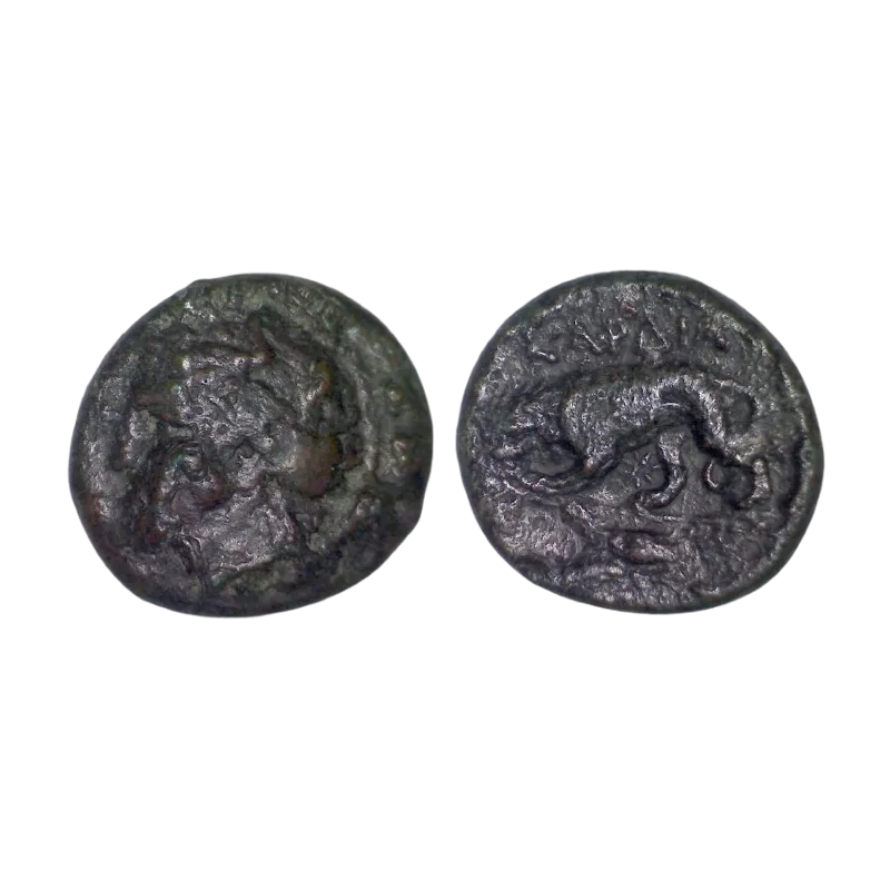 Thrace, Kardia Ae20 Cuivre (-357 à -309) Persephone et Lion