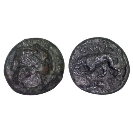 Thrace, Kardia Ae20 Cuivre (-357 à -309) Persephone et Lion