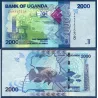 Ouganda P.50h, TTB, Billet de 2000 Shillings 2024 Poissons