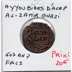 Ayyubid d'Alep Al-Zahir Ghazi, 1 Fals 607 AH TTB