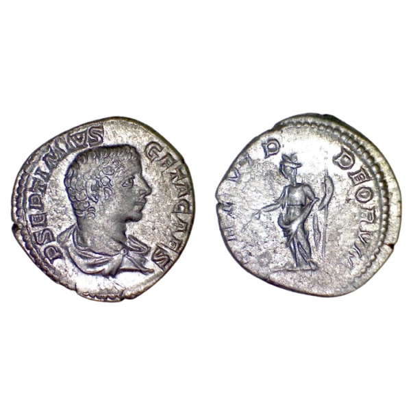 Denier de Geta (206) Ric.51 PROVID DEORVM, Rome