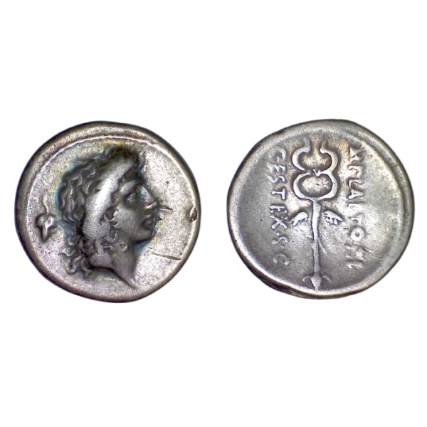 Denier république Famille Plaetoria (-69), Sear.344 Marcus Plaetorius Cestianus