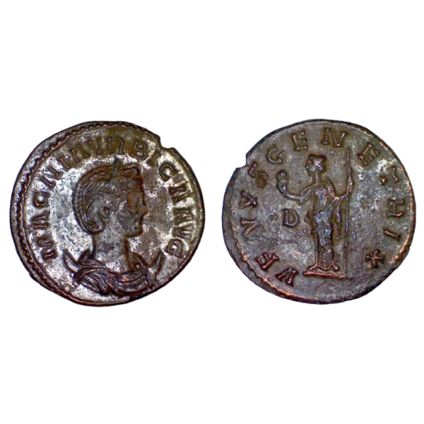 Antoninien de Magna Urbica (284), Ric.337 VENVS GENETRIX, Lyon