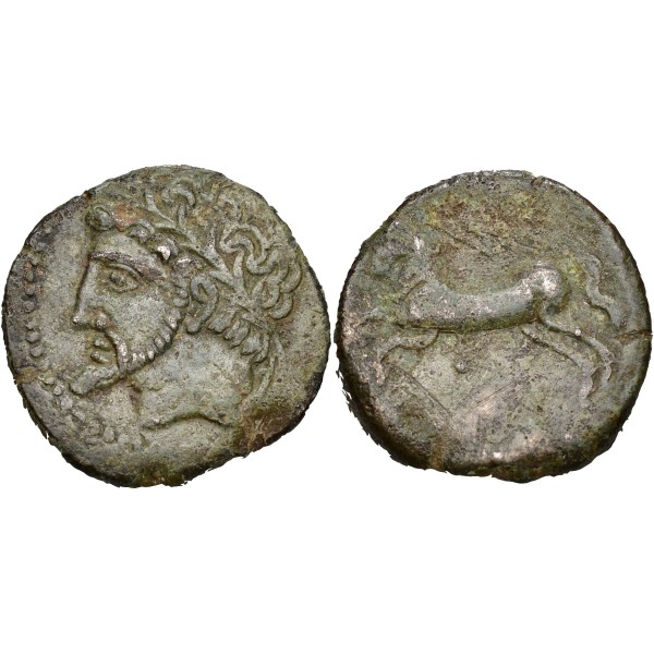 Numidie, Massinissa ou Micipsa Ae27 (-148 à -118) Cheval