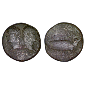 dupondius ou as de nimes (-2 à +14), type IV atelier Nimes