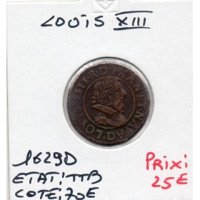 Double Tounois 1629 D Lyon Louis XIII TTB