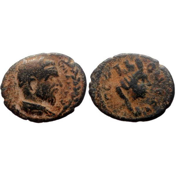 Ae19 Macrin Pour la Mésopotamie (217-218), Edessa