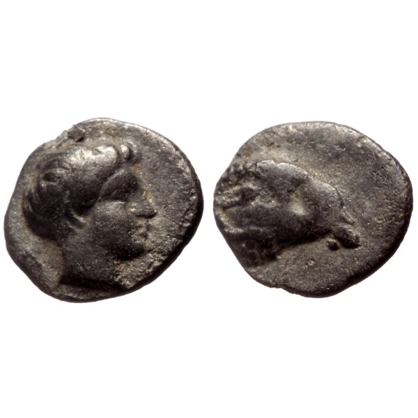 Troade , Cebren Hémiobole argent (-387 à -310) Belier et apollon