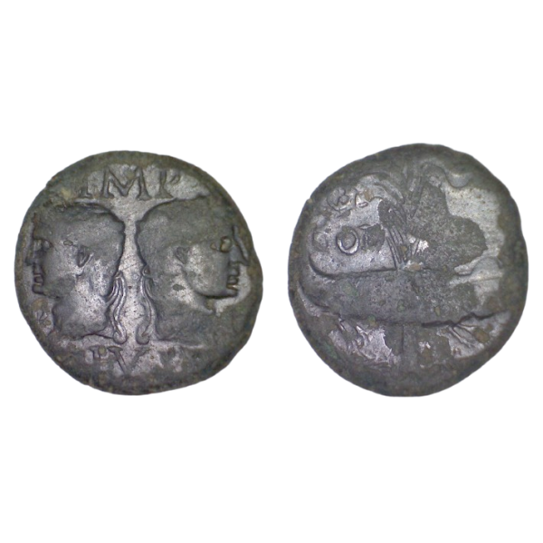 dupondius ou as de nimes (-2 à +14), type IV atelier Nimes