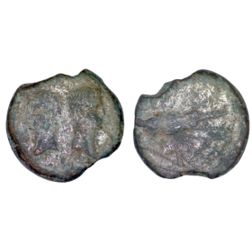 dupondius ou as de nimes (-29 à -28), type 1 Rare