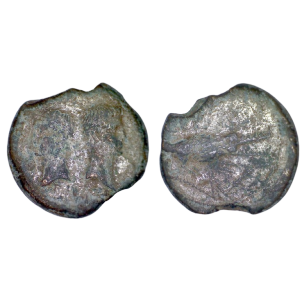 dupondius ou as de nimes (-29 à -28), type 1 Rare