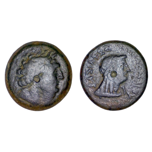 Egypte, Royaume Lagide - Ptolémée III AE21 (-246 à -222) Libye kyrene