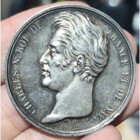 Medaille Charles X Chambre des députés, 1826 Argent