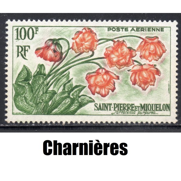 Timbre Saint Pierre poste aérienne 27 Sarracema purpurea neuf* 1962