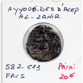 Ayyubid d'Alep Al-Zahir Ghazi, 1 Fals 607 AH TTB