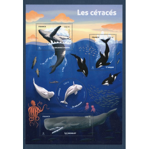 Bloc Feuillet 5962, Les Cétacés, Neuf