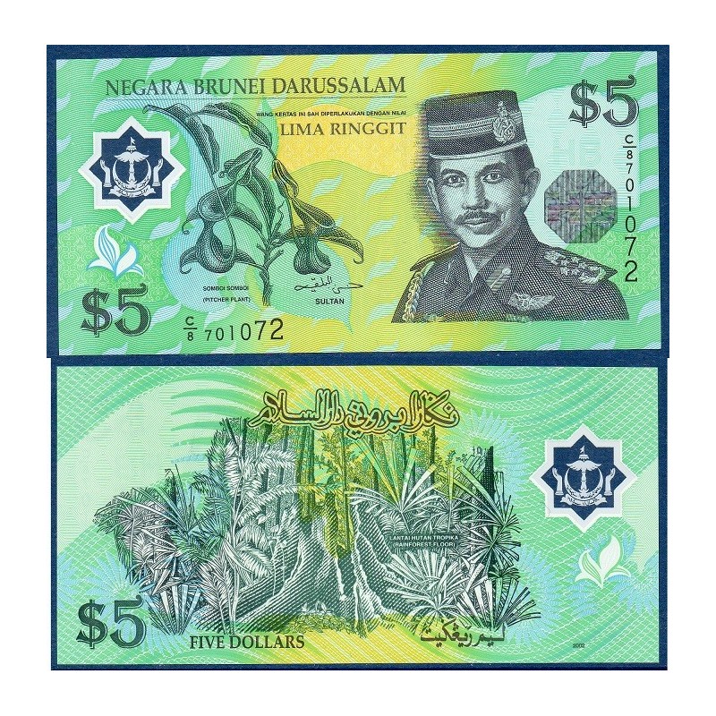 Brunei Pick N°23b, Billet de banque de 5 Ringgit 2002
