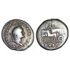 Denier de Vespasien posthume sous titus (80-81) RIC 361 sear 2562 atelier Rome