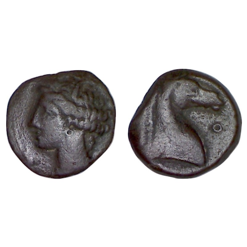 Zeugitane , Carthage Ae17 shekel cuivre  (-300 à -264) Tanit et cheval