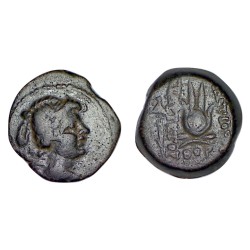 Syrie, SÉLEUCIDE Antiochos VII Sidetes Chalque Cuivre (-138 à -129)  Coiffe Isis