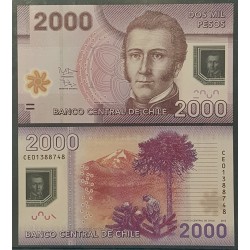 Chili Pick N°162, Billet de banque de 2000 Pesos 2013