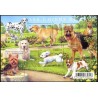 Bloc Feuillet France Yvert F4545 Serie Nature, Les chiens de race