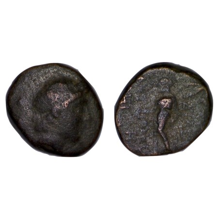 Syrie, SÉLEUCIDE Antiochos III HemiChalque Cuivre (- 223 à -187) Sardes