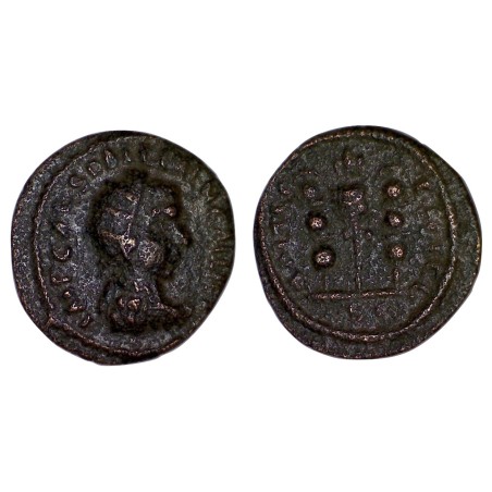 Ae22 de Gallien pour la procince d'Antioche de Pisidie (260-268)