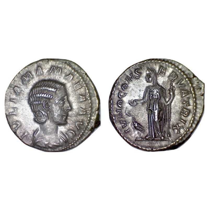 Denier de Julia Mamaea  (222), Ric 343 Sear 8212 Rome