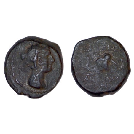 Syrie, SÉLEUCIDE Antiochos IV ae16 Chalque Cuivre (- 175 à -164) Laodice