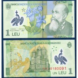 Roumanie Pick N°117h, Billet de banque de 1 leu 2013