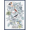 Bloc Feuillet France Yvert F5239 Oiseaux de nos jardins neuf luxe **