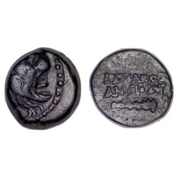Syrie, SÉLEUCIDE Antiochos VII Sidetes ae13 Chalque Cuivre (-138 à -129)  lion