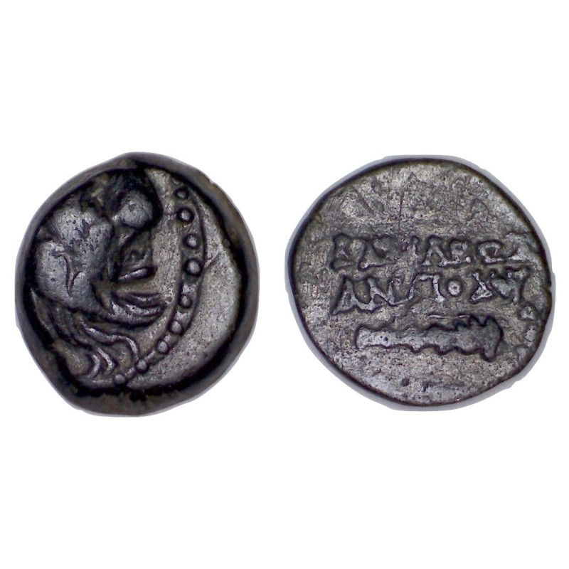 Syrie, SÉLEUCIDE Antiochos VII Sidetes ae13 Chalque Cuivre (-138 à -129)  lion